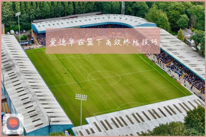爱德华兹篮下高效终结技巧