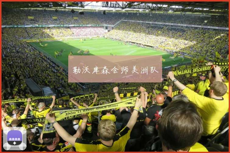 勒沃库森会师美洲队