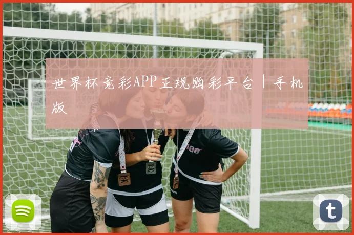 世界杯竞彩APP正规购彩平台｜手机版