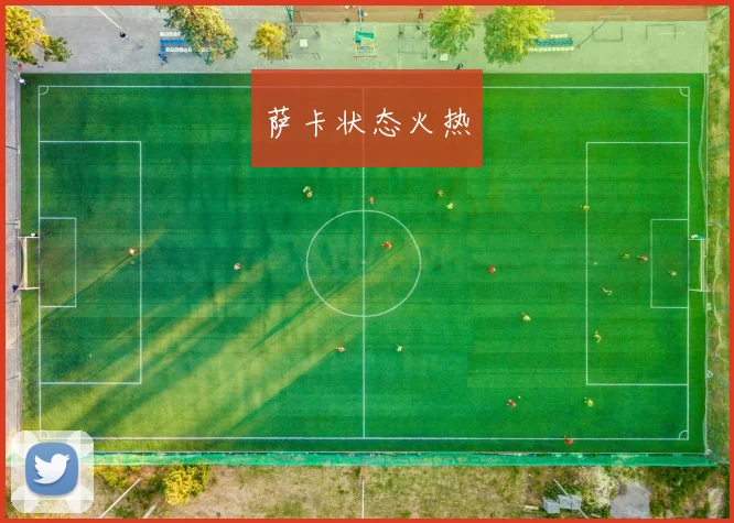 萨卡状态火热