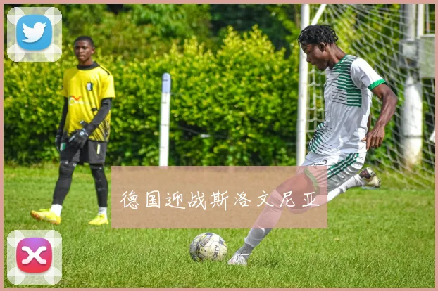 德国迎战斯洛文尼亚