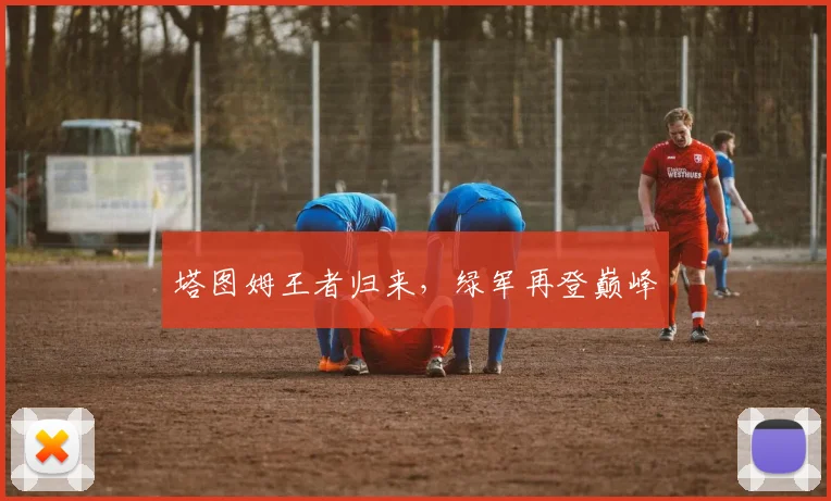塔图姆王者归来，绿军再登巅峰