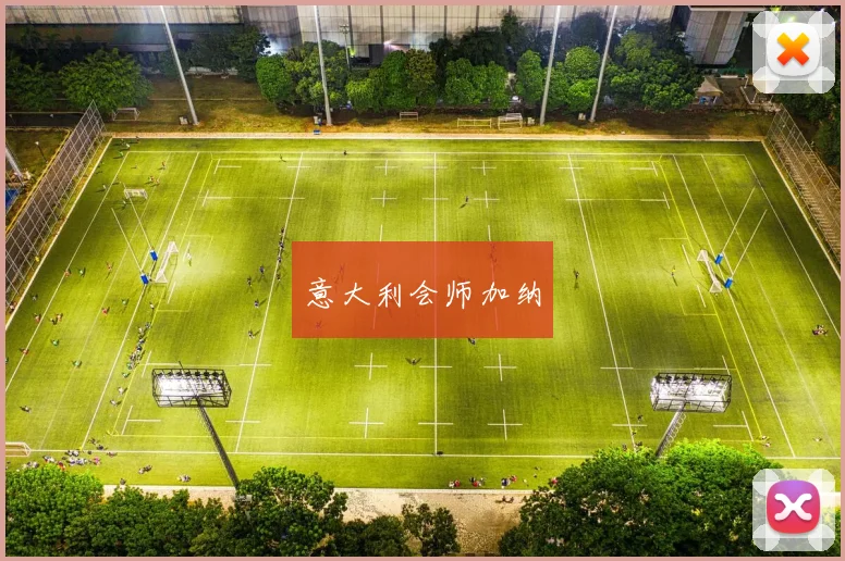 意大利会师加纳