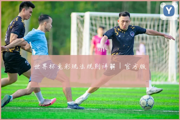 世界杯竞彩玩法规则详解｜官方版