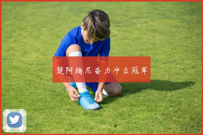 楚阿梅尼奋力冲击冠军