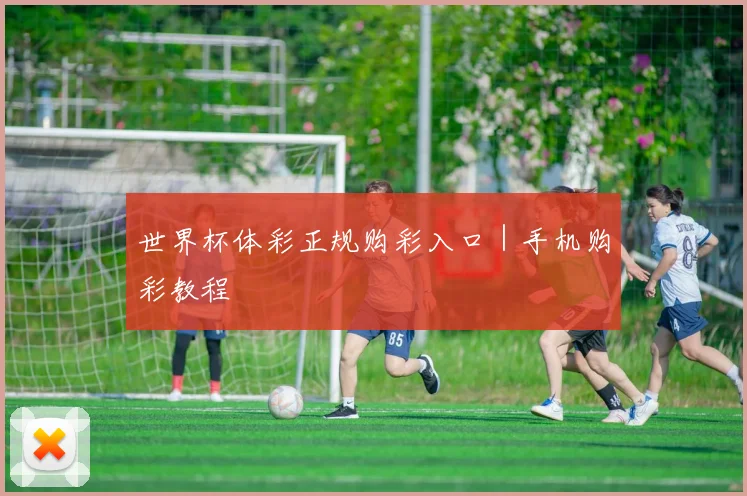 世界杯体彩正规购彩入口｜手机购彩教程
