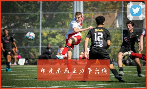 印度尼西亚力争出线