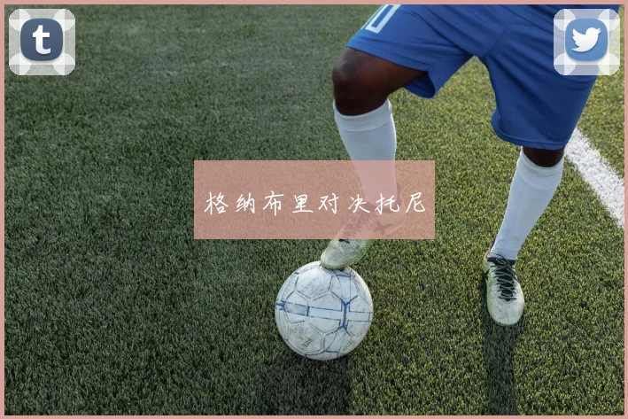 格纳布里对决托尼