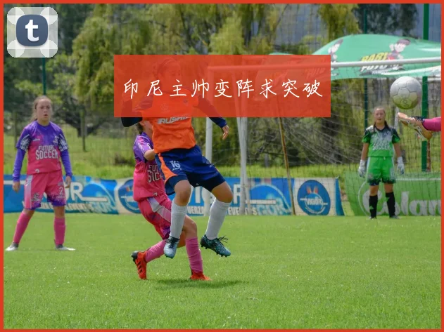 印尼主帅变阵求突破