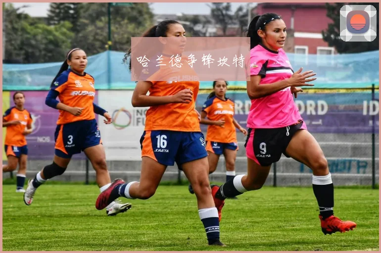 哈兰德争锋坎特