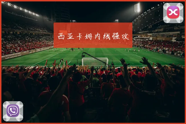 西亚卡姆内线强攻