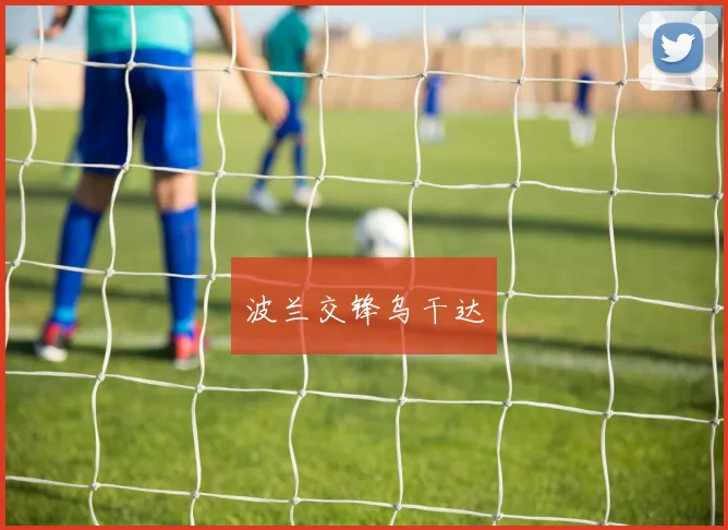 波兰交锋乌干达