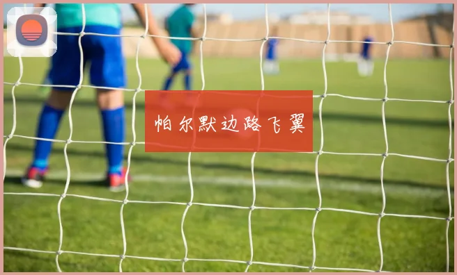 帕尔默边路飞翼