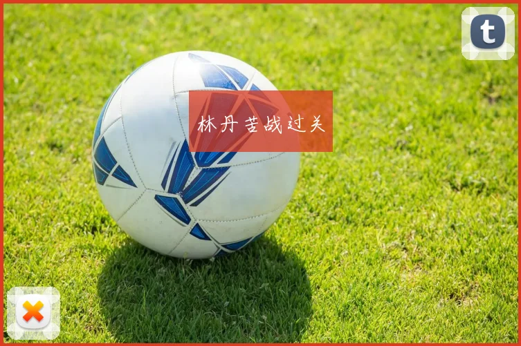 林丹苦战过关