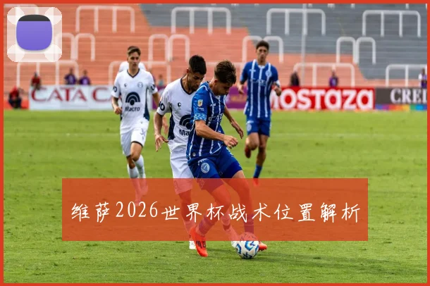 维萨2026世界杯战术位置解析