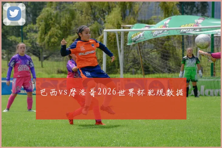 巴西vs摩洛哥2026世界杯犯规数据