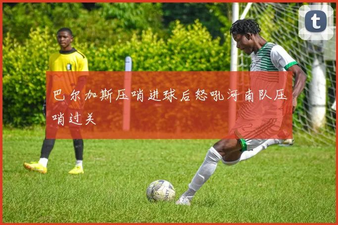 巴尔加斯压哨进球后怒吼河南队压哨过关