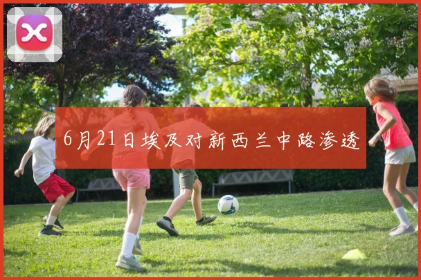 6月21日埃及对新西兰中路渗透