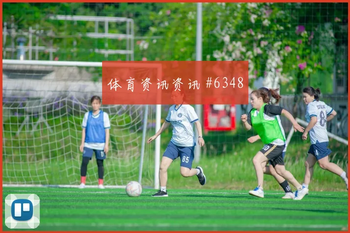 瑞典vs荷兰2026世界杯淘汰赛前景
