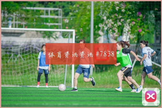 巴西vs摩洛哥2026世界杯犯规数据