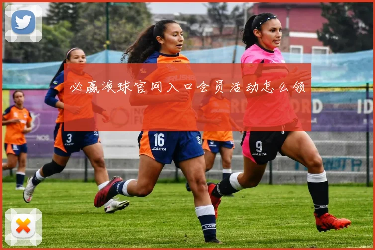 必赢滚球官网入口会员活动怎么领
