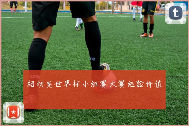 绍切克世界杯小组赛大赛经验价值