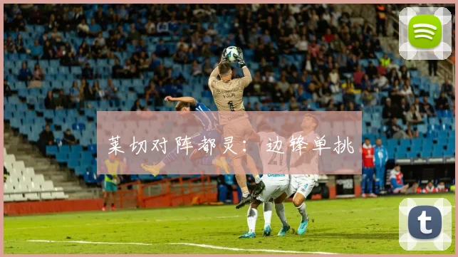 莱切对阵都灵：边锋单挑