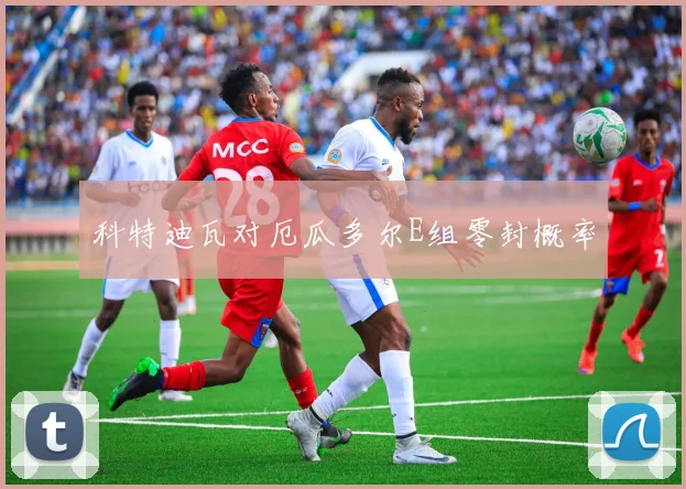 科特迪瓦对厄瓜多尔E组零封概率