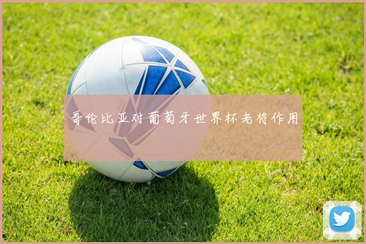 哥伦比亚对葡萄牙世界杯老将作用