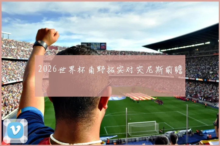 2026世界杯南野拓实对突尼斯前瞻